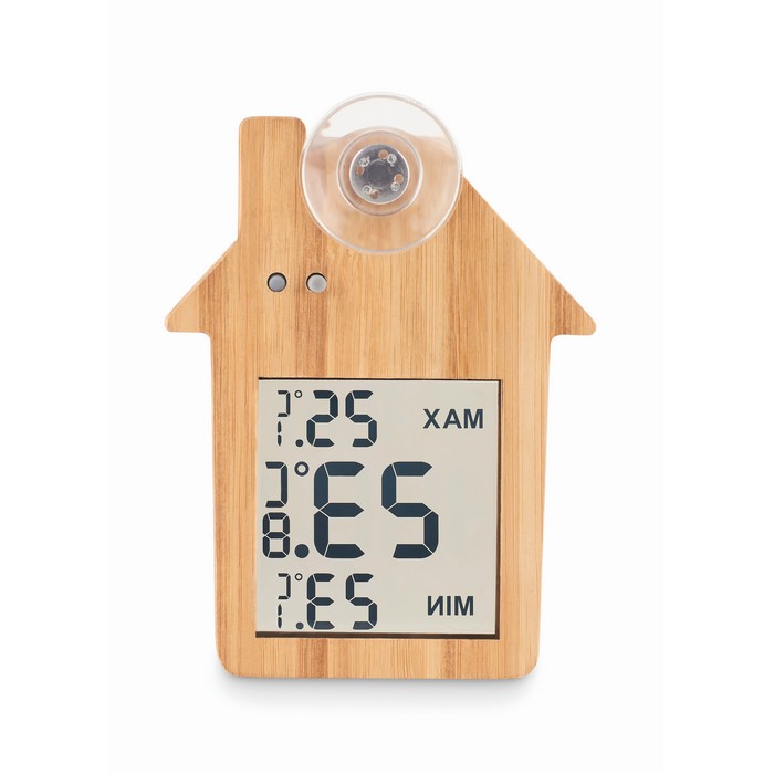 Thermometer