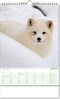 Kalender "Blick ins Tierreich" im Format 24 x 38,5 cm, mit Wire-O Bindung und verlängerter Rückwand