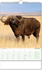 Kalender "Blick ins Tierreich" im Format 24 x 38,5 cm, mit Wire-O Bindung und verlängerter Rückwand