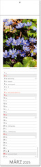 Kalender "Tee & Heiltees" im Format 13 x 53,5 cm, mit Fälzel