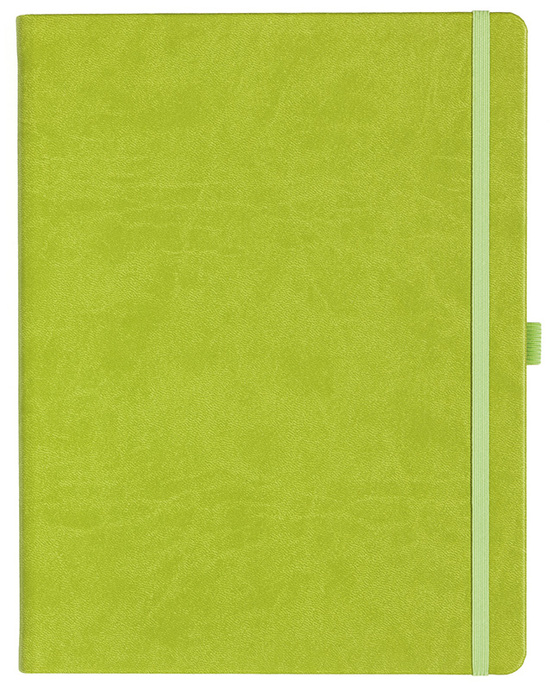 Notizbuch Style Large im Format 19x25cm, Inhalt liniert, Einband Slinky in der Farbe Lime