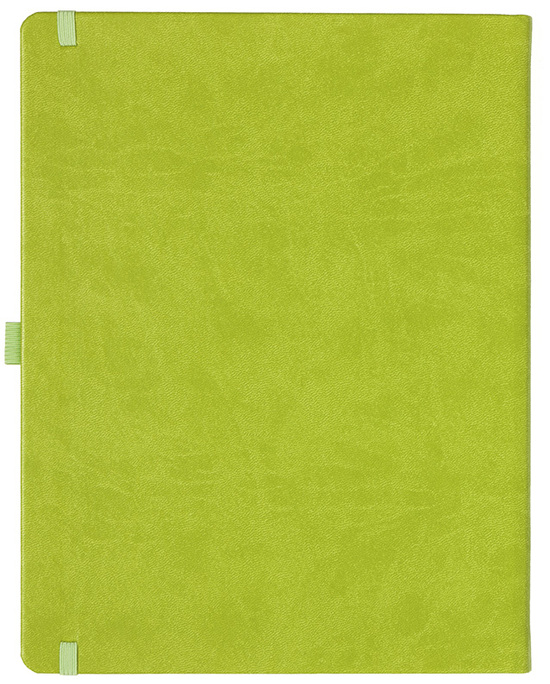 Notizbuch Style Large im Format 19x25cm, Inhalt liniert, Einband Slinky in der Farbe Lime