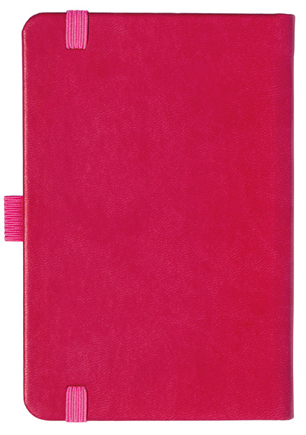 Notizbuch Style Small im Format 9x14cm, Inhalt blanco, Einband Slinky in der Farbe Pink