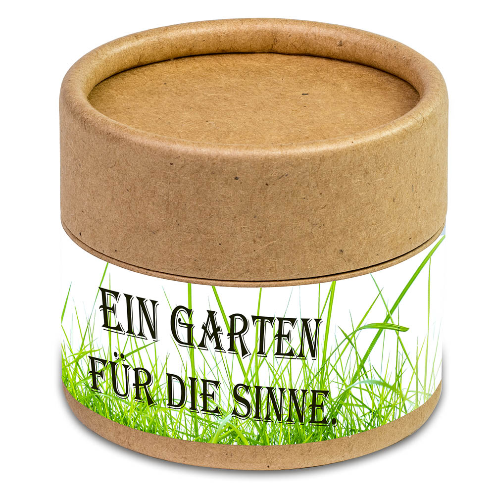 Pflanz-Cup mit Samen - Vergissmeinnicht