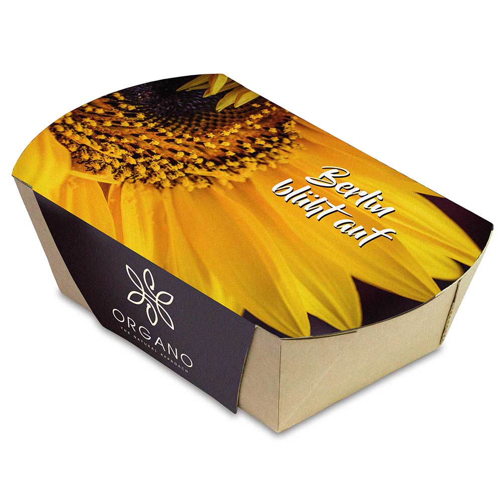 Pflanz-Schale mit Samen - Glücksklee-Zwiebeln (* Je nach Verfügbarkeit der Glücksklee-Zwiebeln)