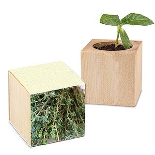Pflanz-Holz mit Samen (Graspapier-Banderole) - Thymian