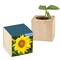 Pflanz-Holz mit Samen - Sonnenblume