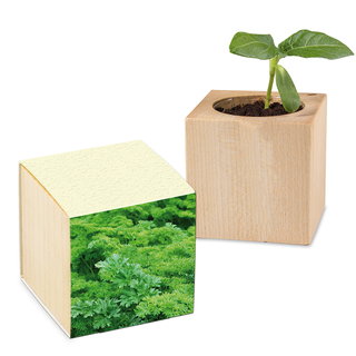 Pflanz-Holz mit Samen (Graspapier-Banderole) - Petersilie, 1 Seite gelasert