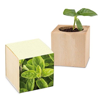 Pflanz-Holz mit Samen (Graspapier-Banderole) - Majoran, 2 Seiten gelasert