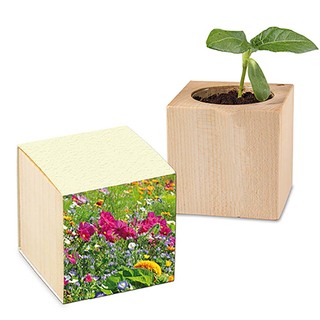 Pflanz-Holz mit Samen (Graspapier-Banderole) - Sommerblumenmischung, 2 Seiten gelasert