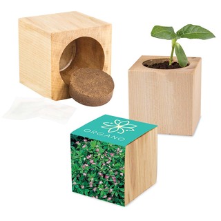 Pflanz-Holz Maxi mit Samen - Persischer Klee