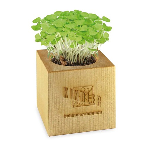 Pflanz-Holz Maxi mit Samen - Gartenkresse, 1 Seite gelasert