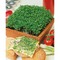 Pflanz-Holz Maxi mit Samen - Gartenkresse, 1 Seite gelasert