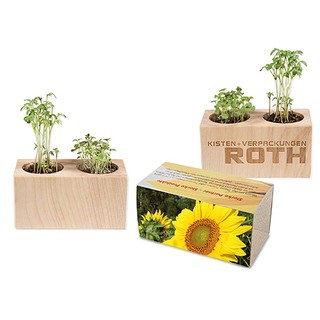Pflanz-Holz 2er Set mit Samen - Sonnenblume