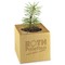 Pflanz-Holz Star-Box mit Samen - Gartenkresse, 2 Seiten gelasert