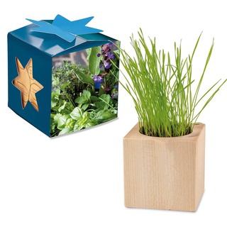 Pflanz-Holz Maxi Star-Box mit Samen - Kräutermischung