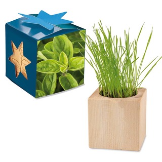 Pflanz-Holz Maxi Star-Box mit Samen - Majoran, 1 Seite gelasert