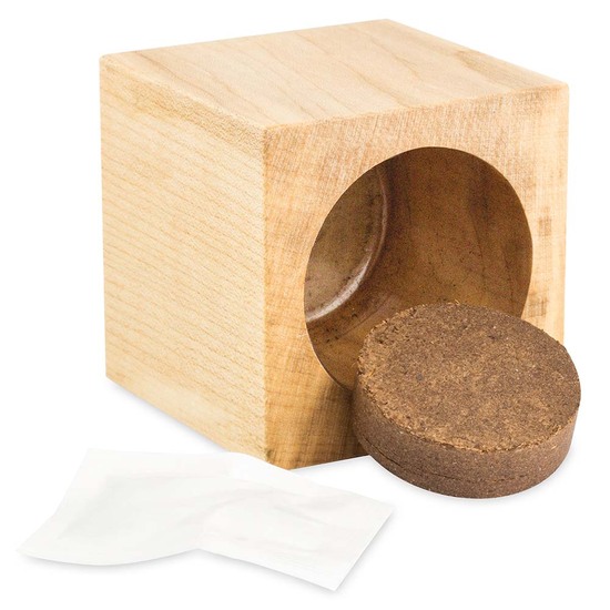 Pflanz-Holz Maxi Star-Box mit Samen - Ringelblume, 1 Seite gelasert