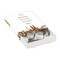 Backförmchen Premium-Box - Xmas - Schneemann + Tannenbaum