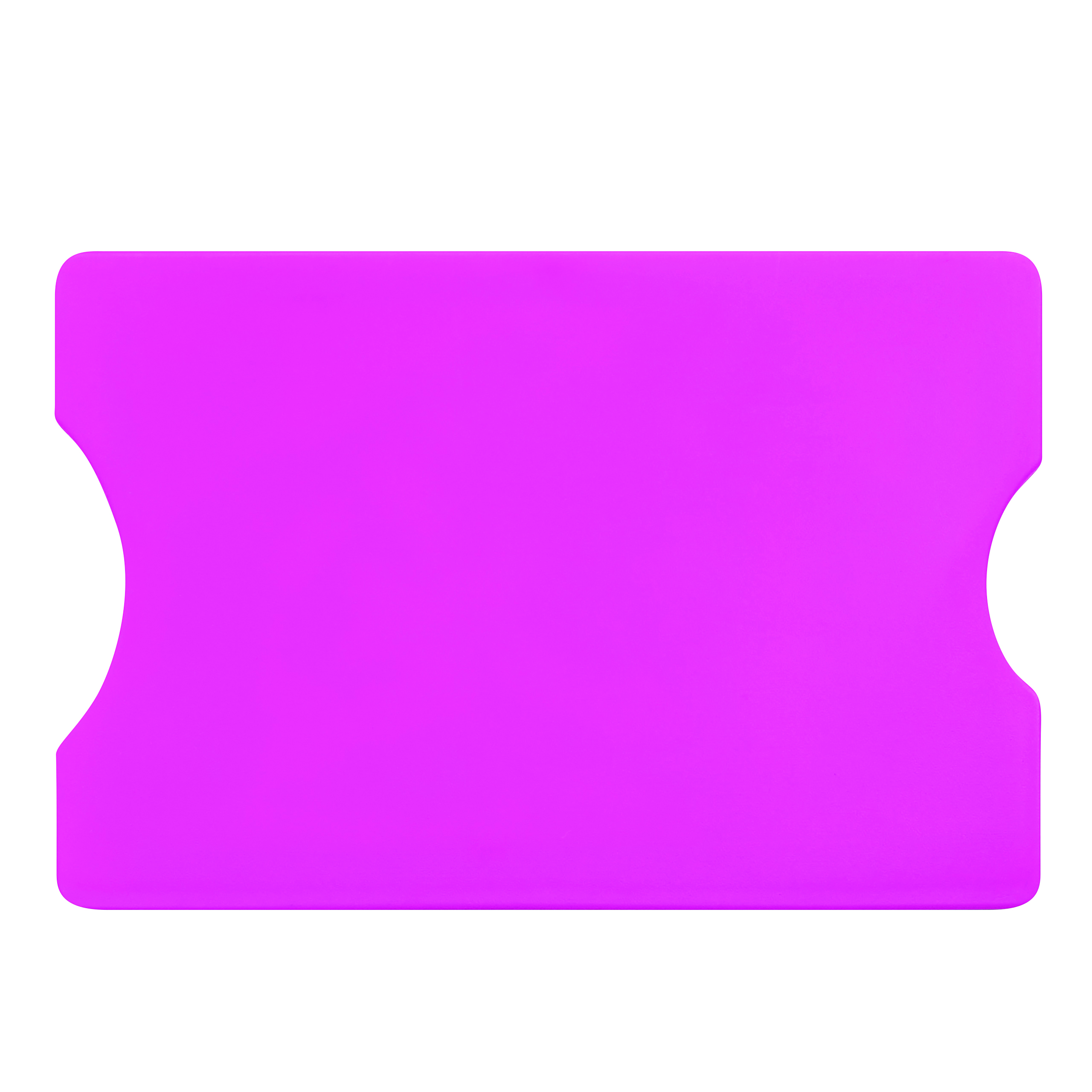 Bankkartenhülle PROTECTOR