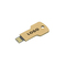 USB Stick Greencard key 8 GB