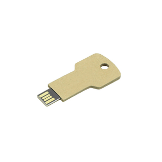 USB Stick Greencard key 32 GB
