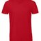 BCTM057 V-Neck Triblend T-Shirt /Men