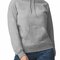 GSF500 Softstyle® Midweight Sweat Adult Hoodie