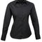Ladies` Poplin Long Sleeve Blouse