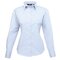 Ladies` Poplin Long Sleeve Blouse