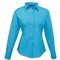 Ladies` Poplin Long Sleeve Blouse
